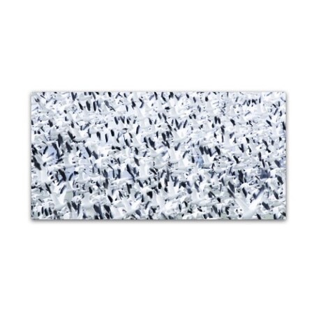 Trademark Fine Art Katsu Uota 'Snowstorm' Canvas Art, 10x19 1X00081-C1019GG